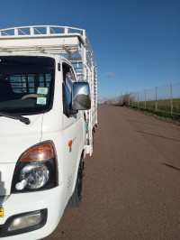 camion-hyundai-h100-2015-bou-haroun-tipaza-algerie