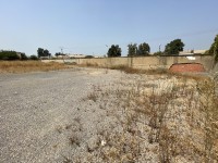land-rent-blida-algeria