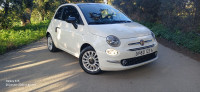 voitures-fiat-500-2023-club-boufarik-blida-algerie