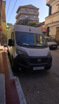 utilitaire-fiat-ducato-2024-alger-centre-algerie