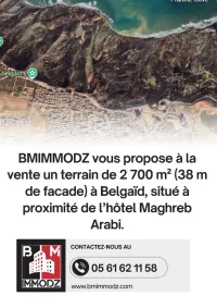 Vente Terrain Oran Bir el djir