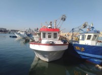 قوارب-sardinier-en-activite-a-vendre-الجزائر-وسط
