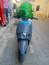 VMS VMS ESTATE 2022