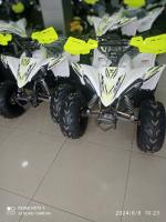 motos-et-scooters-vms-quad-raptor-110cc-2024-boumerdes-algerie