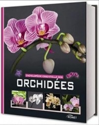 علوم-تكنولوجيا-والطب-encyclopedie-essentielle-des-orchidees-بئر-خادم-الجزائر
