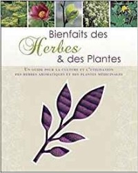 علوم-تكنولوجيا-والطب-bienfaits-des-herbes-plantes-بئر-خادم-الجزائر