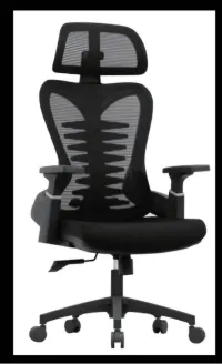 CHAISE ERGONOMIQUE B38