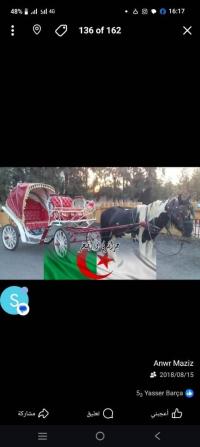 trailers-كاليش-للأفراح-والمناسبات-2000-ain-djasser-batna-algeria
