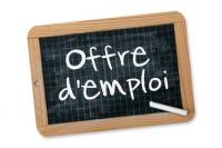 commercial-marketing-offre-demploi-arzew-oran-algerie