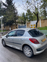 citadine-peugeot-207-2009-guelma-algerie