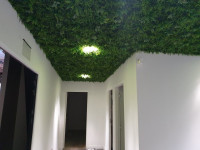 jardinage-mur-vegetal-artificiel-ain-naadja-alger-algerie