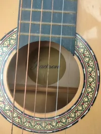 Guitare sèche Jackson 