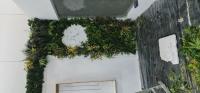 jardinage-mur-vegetale-naturel-khraissia-alger-algerie
