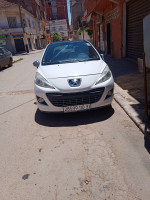 citadine-peugeot-207-2010-allure-oran-algerie