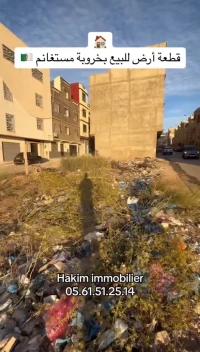 Vente Terrain Mostaganem Mostaganem