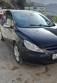 voitures-peugeot-307-2002-tessala-ldematai-mila-algerie