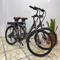 Vélo Électrique Scooty City 26 Plus i 00 Compteur 