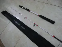 Canne JIGGING NEUVE DAIWA