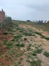 Vente Terrain Médéa El guelbelkebir