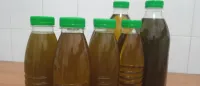 زيت الرومان ، زيت زيتون جيجلي  اصلي 