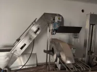 Ligne de production de frites fraîches 