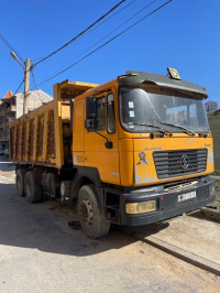 camion-chacman-shacman-2010-tizi-ouzou-algerie