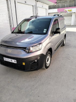 voitures-fiat-doblo-2024-oued-seguen-mila-algerie