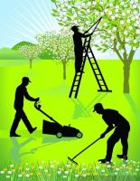cleaning-gardening-societe-de-jardinage-et-amenagement-des-espaces-verts-nettoyage-jardinier-pimpeniere-ben-aknoun-alger-algeria