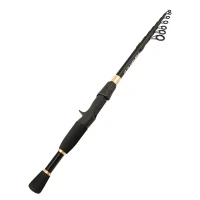 Canne à pêche 2.1 m carbone 