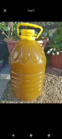 زيوت-lhuile-dolive-ذراع-بن-خدة-تيزي-وزو-الجزائر