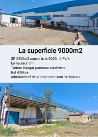 Location Hangar Alger Reghaia