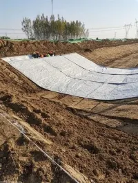 Geotextile