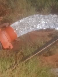 أرض-فلاحية-بيع-الجلفة-بنهار-الجزائر