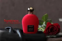 Velvet Bloom 
