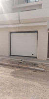 construction-travaux-porte-de-garage-rideau-metallique-electrique-douaouda-tipaza-algerie