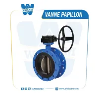 VANNE PAPILLON A VOLENT