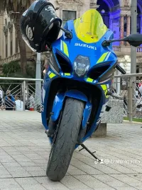 Suzuki L8 2018
