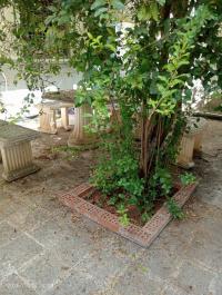 villa-vente-alger-dely-brahim-algerie