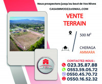 terrain-vente-alger-cheraga-algerie