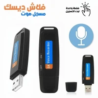 Enregistreur Vocal Flash Disque USB 