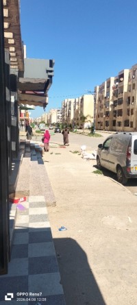 محل-بيع-الجزائر-الكاليتوس