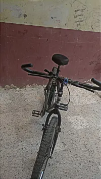 Dynamic . 2018