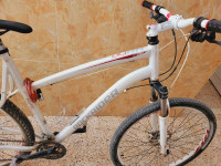 velos-velo-rockrider-laghouat-algerie