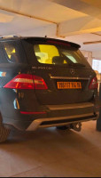 tout-terrain-suv-mercedes-ml-2014-250-cdi-4-matic-bir-el-djir-oran-algerie