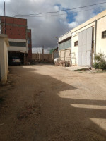 usine-vente-tebessa-algerie