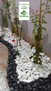 Gazon et jardinage 