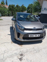 mini-citadine-kia-picanto-2019-lx-start-bouhadjar-el-tarf-algerie