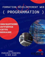 ecoles-formations-formation-developpement-web-el-biar-alger-algerie