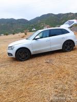 voitures-audi-q5-2014-s-line-larbaa-nath-irathen-tizi-ouzou-algerie