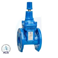 Vanne à opercule en fonte Hydral - Made in Algérie 
